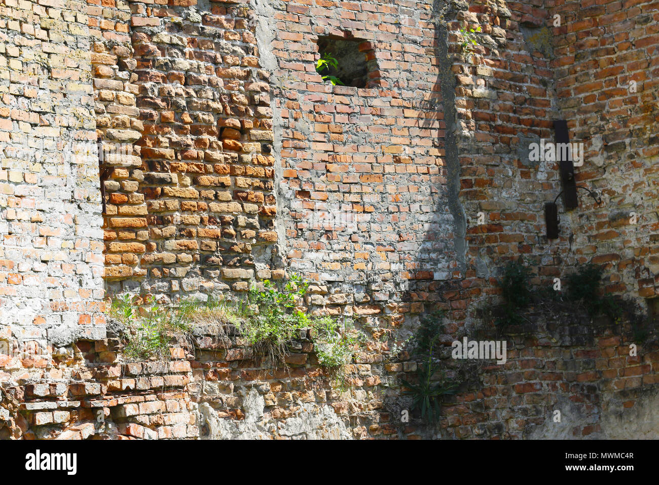 Vieux château wall background Banque D'Images