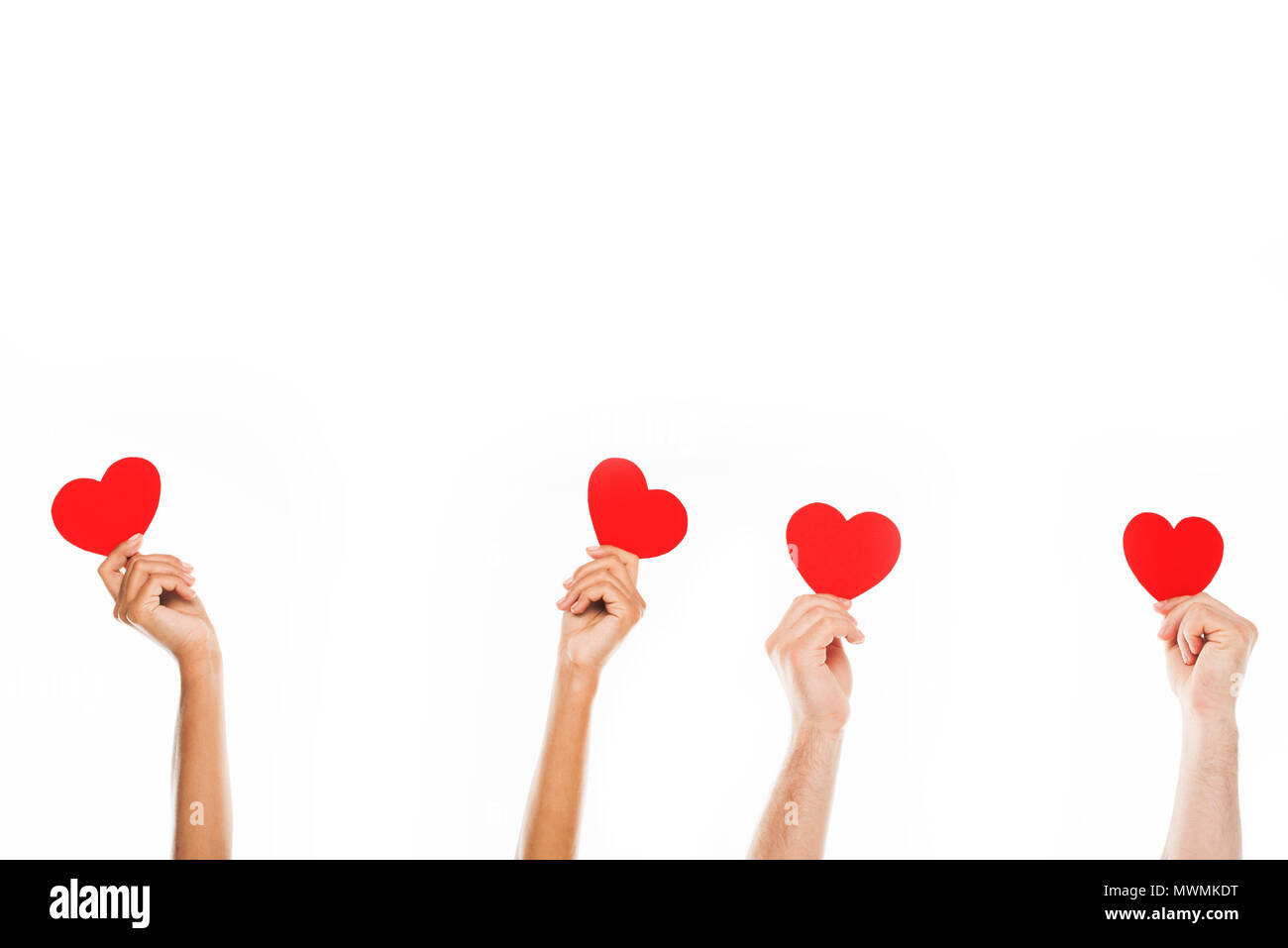 'Portrait des mains humaines holding papier rouge coeurs, isolated on white Banque D'Images