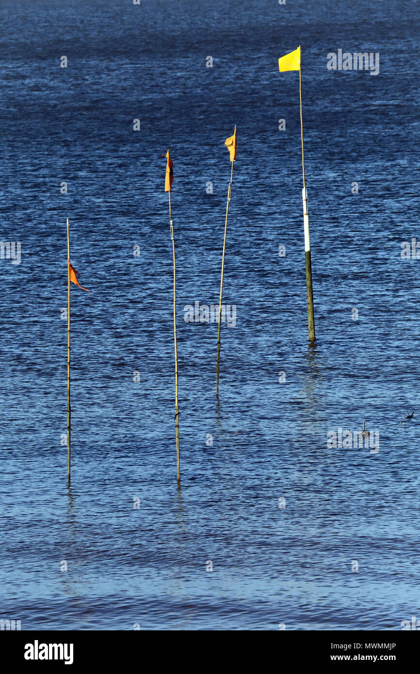 Quatre drapeaux marquant l'emplacement des parcs à huîtres à Whitstable, Kent, UK. Banque D'Images