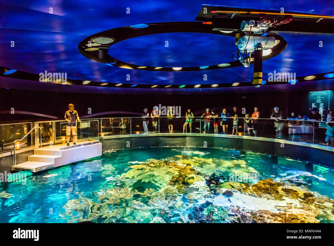 Raies jaunes Banque de photographies et d’images à haute résolution Alamy