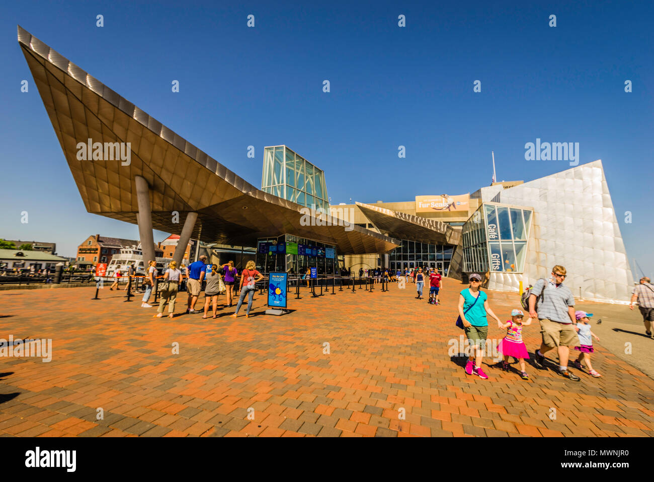 New England Aquarium - Boston, Massachusetts, USA Banque D'Images