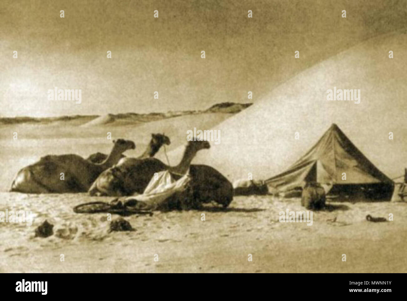 . Dromaders prendre un repos. La photo prise par Kazimierz Nowak (1897-1937) lors de son voyage en Afrique - un voyageur polonais, correspondant et photographe. Probablement le premier homme dans le monde qui ont traversé l'Afrique du Nord au Sud et du sud au nord (de 1931 à 1936 ; à pied, à vélo et en canoë). environ sur 1931-36. probablement Kazimierz Nowak ou d'un auteur inconnu 518 Reste dromaders Banque D'Images