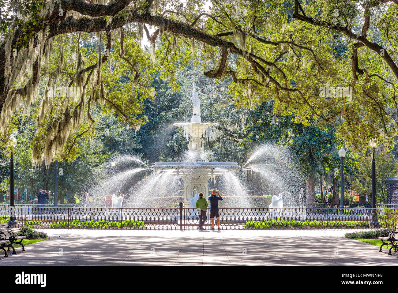 Forsyth Park, Savannah, Georgia, USA fontaine à l'aube. Banque D'Images