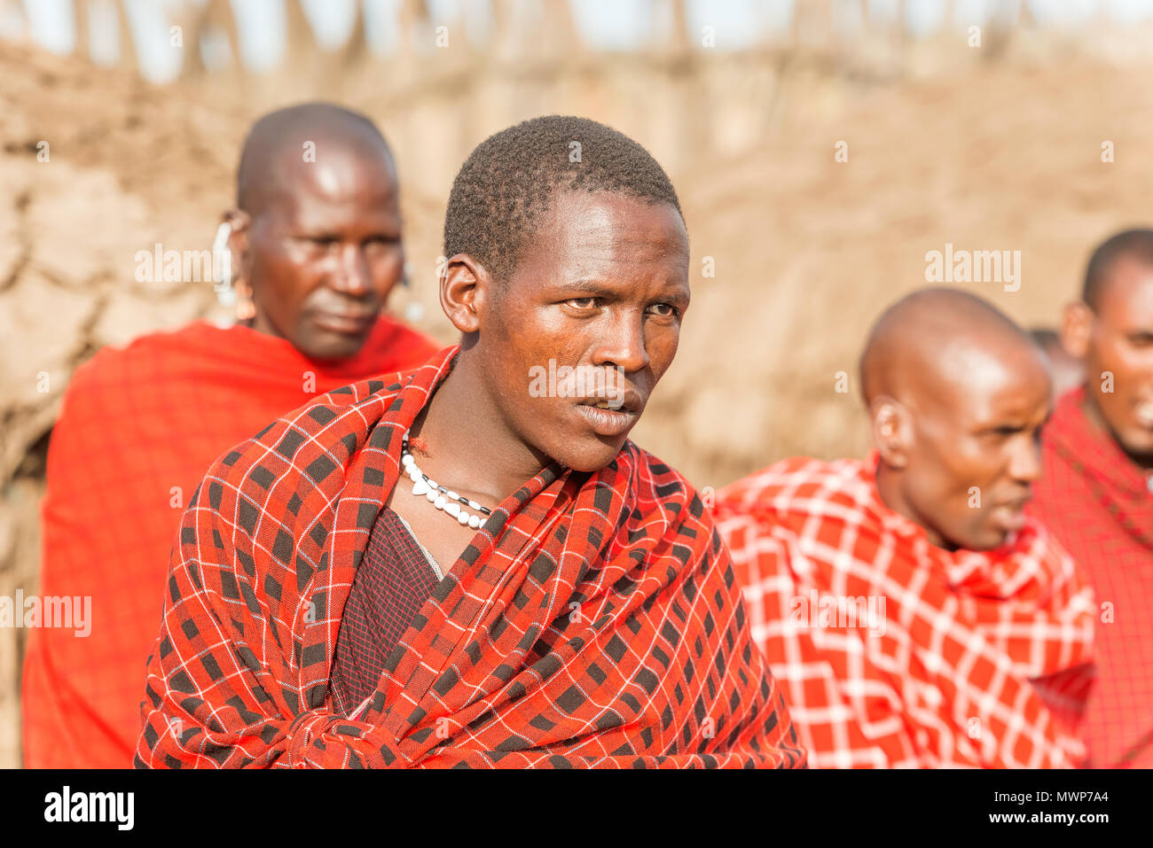 Serengeti, Tanzanie - 12 mars 2015 : Masai avec ornements traditionnels, l'examen de la vie quotidienne de la population locale le 12 mars 2015 près de Serengeti National Banque D'Images