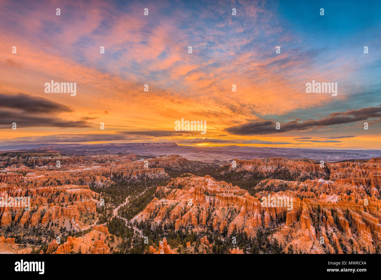Bryce Canyon National Park, Utah, USA à l'aube. Banque D'Images