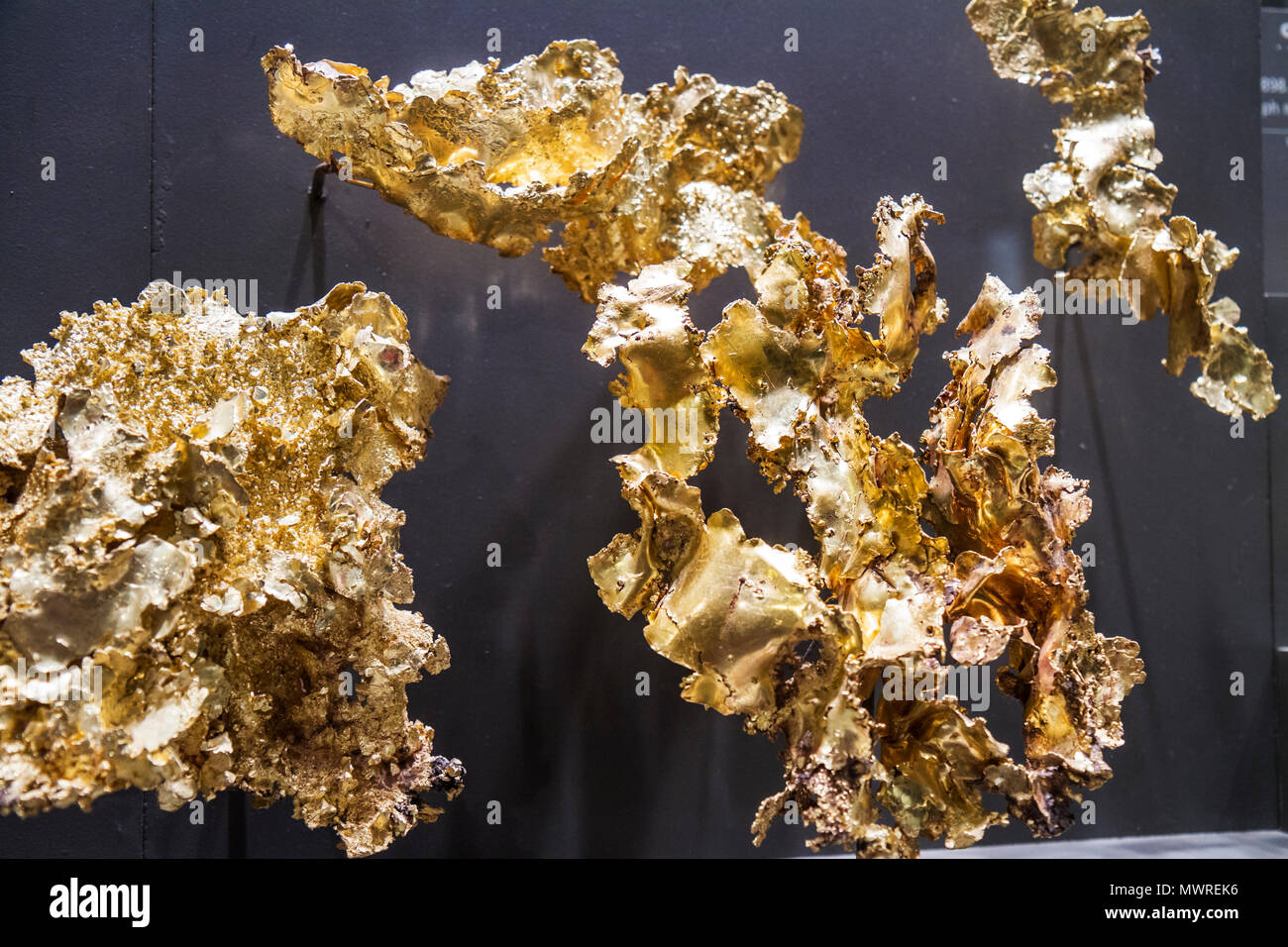 Washington DC, Musée national d'histoire naturelle, Hall of Geology, Gems & Minerals, sciences naturelles, or, exposition vente DC100219037EdOnly Banque D'Images
