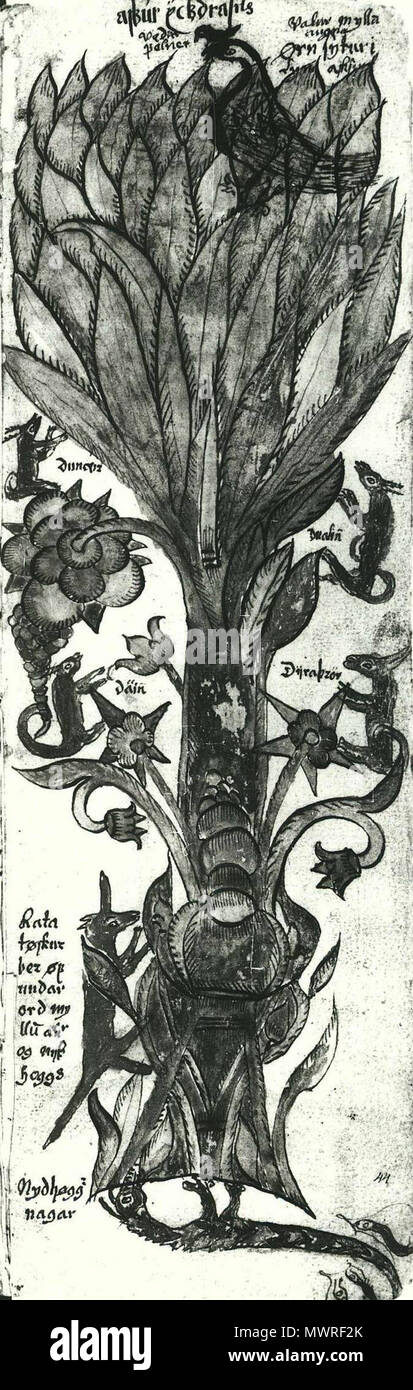. Une illustration de l'arbre du monde nordique Yggdrasill, à partir d'un manuscrit islandais du 17e siècle. La numérisation d'une photographie en noir et blanc. 1680[1] . Inconnu 41 738 4d, 44r, BW Yggdrasill Banque D'Images