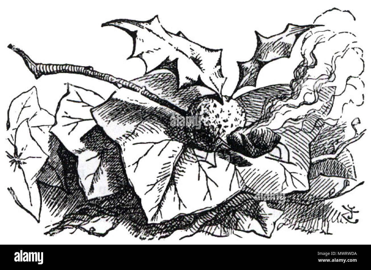 . Fr:John Tenniel's illustration d'un snap-dragon-fly pour fr:grâce à l'autre côté. Prises et nettoyé de Victorian Web. 12 octobre 2005 (date d'origine). L'original a été uploader ziggourat de English Wikipedia 565-Snap-dragon fly Banque D'Images