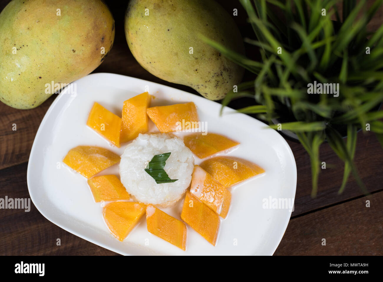Mango sticky rice ou Khaoniao mamuang à la mangue fraîche sur une table en bois, un dessert traditionnel thaïlandais à base de riz gluant à la noix de coco et mangue fraîche, Banque D'Images