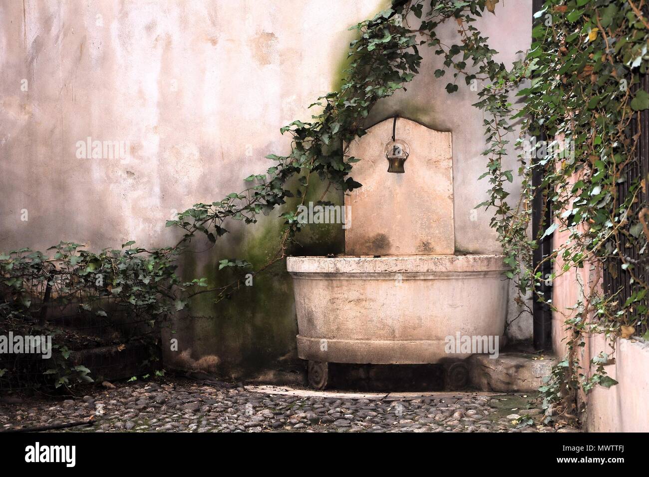 Très vieille fontaine en pierre avec ivy escalade à Brescia, en Italie. Banque D'Images