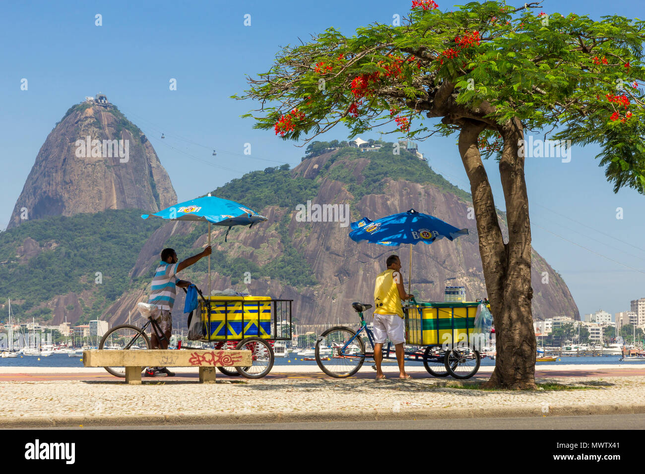 Les vendeurs de rue debout avec leurs bicyclettes au Botafogo avec vue sur le Pain de Sucre, Rio de Janeiro, Brésil, Amérique du Sud Banque D'Images