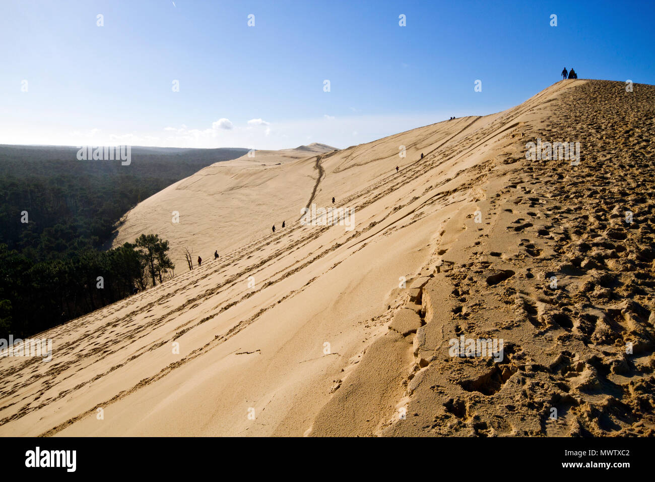 Dune du Pilat dans Test-de-Buch, à 110 m de haut, la plus haute dune de sable en Europe, Nouvelle Aquitaine, France, Europe Banque D'Images