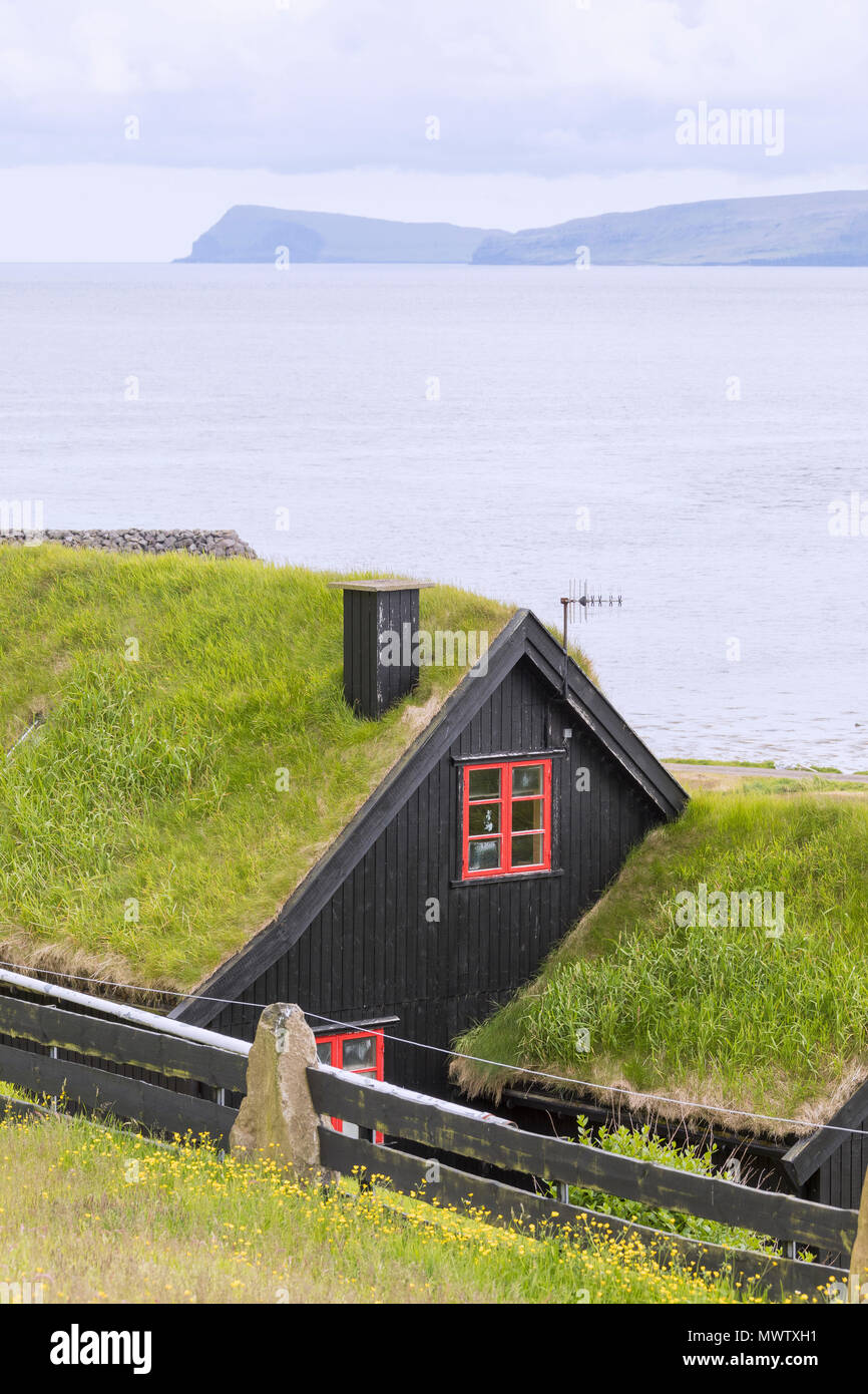 Maisons traditionnelles avec une pelouse (gazon) toit, Kirkjubour, Streymoy island, îles Féroé, Danemark, Europe Banque D'Images