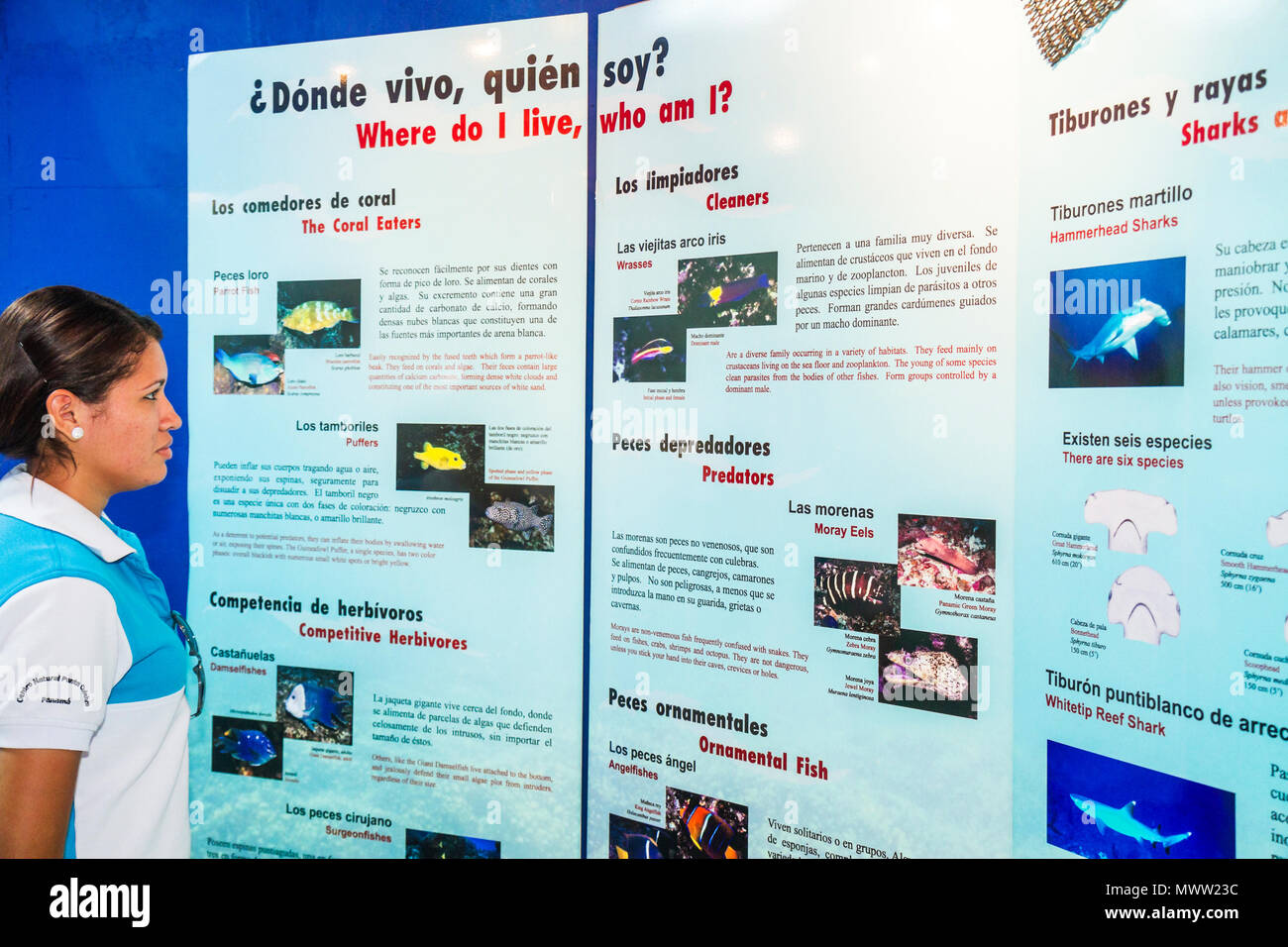 Panama,Amérique latine,Amérique centrale,Panama City,Amador Causeway,Bahia de Panama,Canal de Panama,Isla Naos,Institut de recherche tropicale,exposition interprétative exhib Banque D'Images