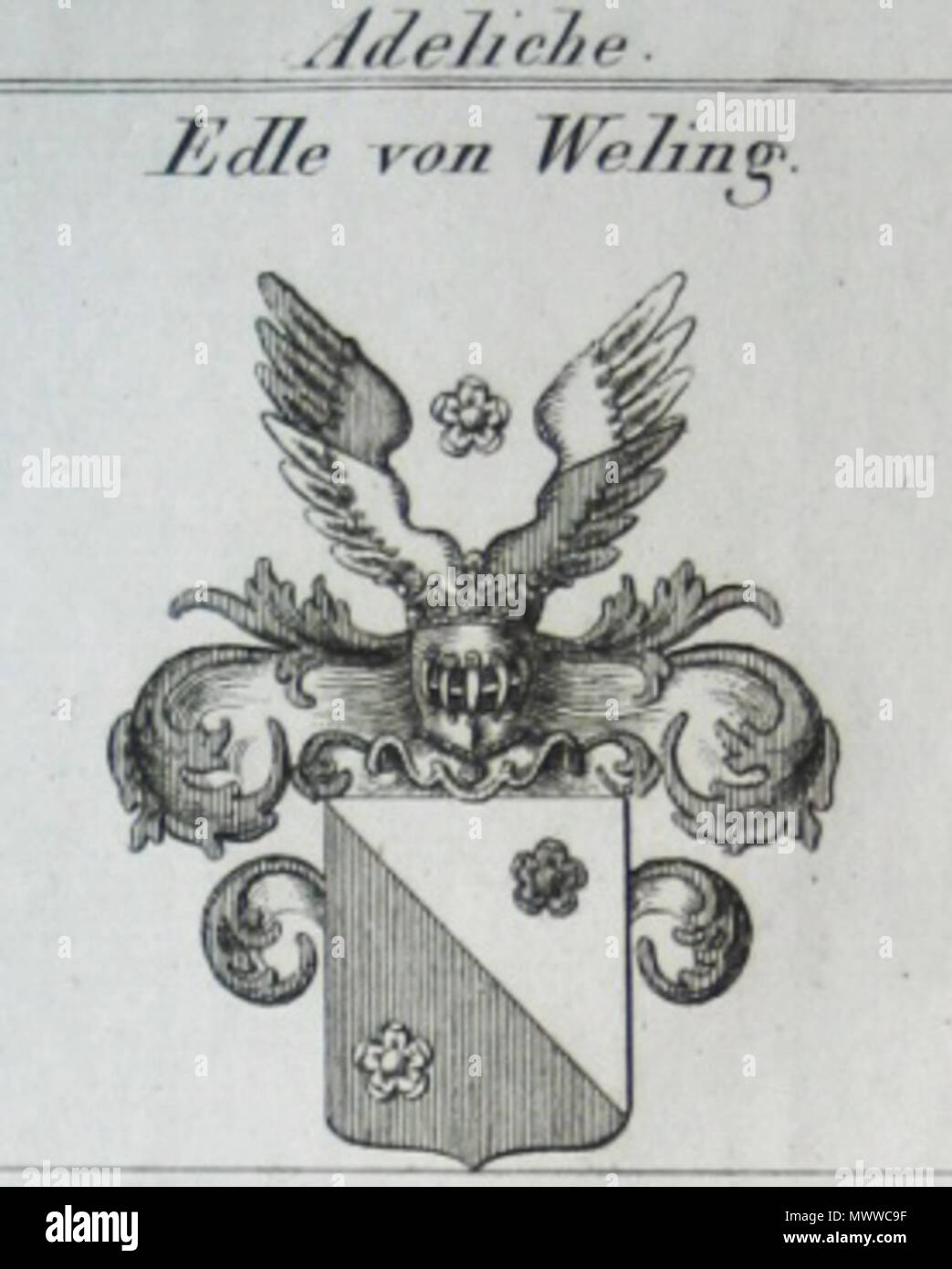 . Deutsch : Wappen der bayerischen der Adelsfamilie nobilitiert von Edlen Weling, 1816, ausgestorben 1872 . 23 novembre 2009, 12:01:51. zeitgenössischer, Stecher um 1820 178 Edle von Weling Banque D'Images