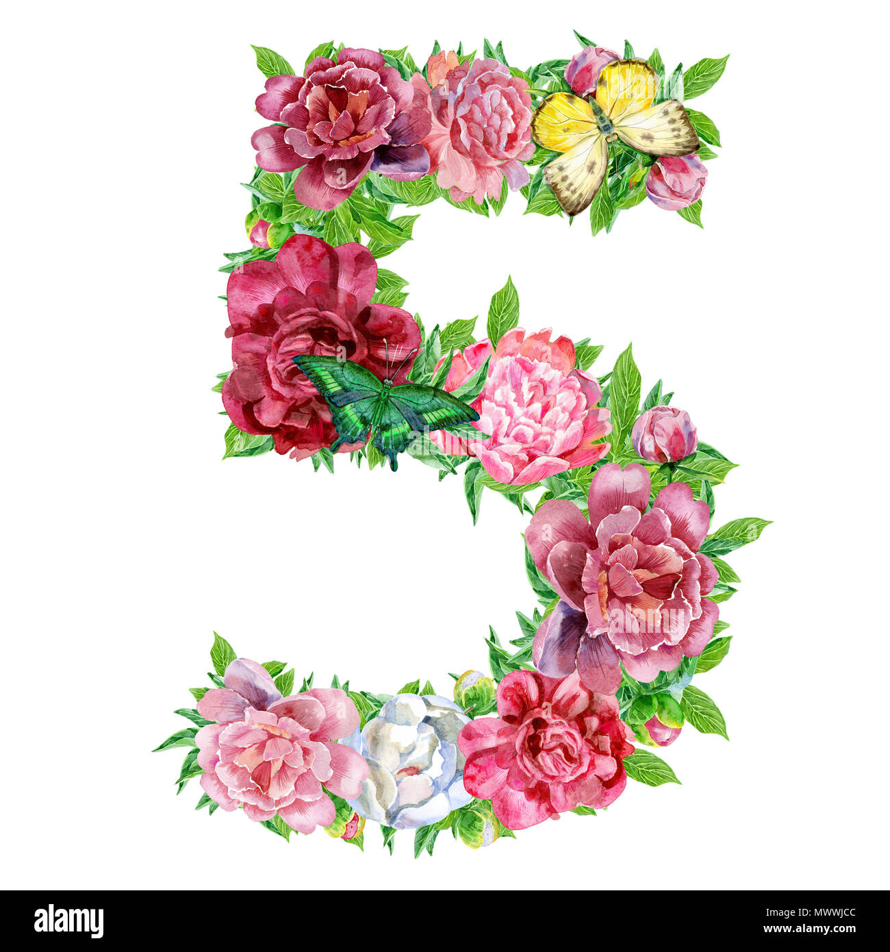 Numéro cinq de l'aquarelle fleurs, dessinés à la main, isolé sur un fond blanc, mariage, design de l'alphabet Banque D'Images