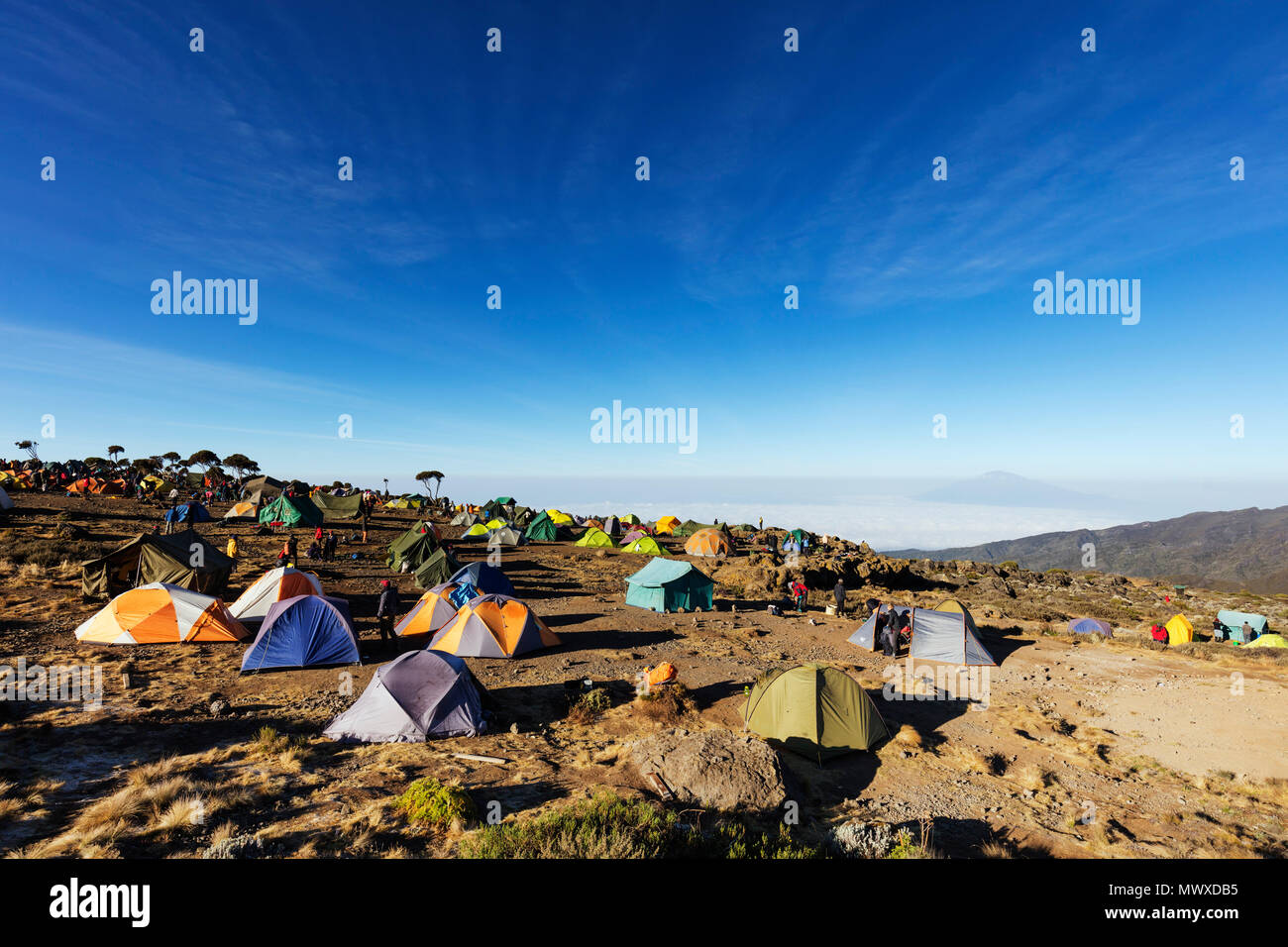 Tentes à Umbwe camp avec vue sur le mont Meru, 4565m, Parc national du Kilimandjaro, UNESCO World Heritage Site, Tanzanie, Afrique orientale, Afrique du Sud Banque D'Images