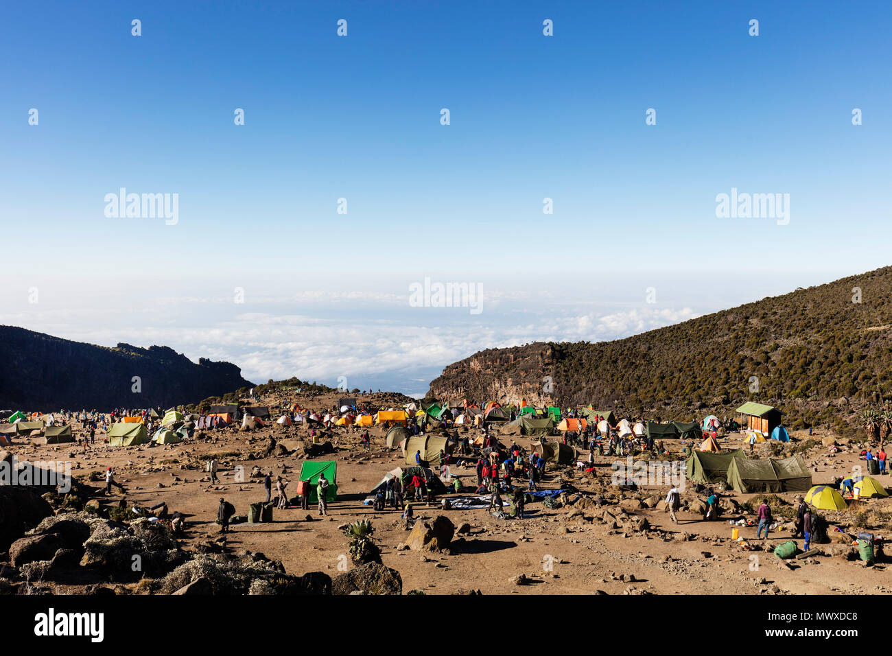 Barranco Camp, Parc national du Kilimandjaro, Site du patrimoine mondial de l'UNESCO, la Tanzanie, l'Afrique de l'Est, l'Afrique Banque D'Images