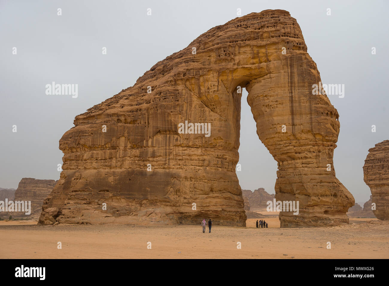 Les sections locales à l'écran géant de roche de l'éléphant, Al Ula, en Arabie Saoudite, Moyen Orient Banque D'Images