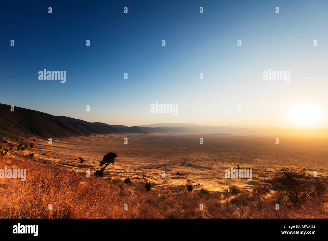 Le lever du soleil, le cratère du Ngorongoro Conservation Area, Site du patrimoine mondial de l'UNESCO, la Tanzanie, l'Afrique de l'Est, l'Afrique Banque D'Images
