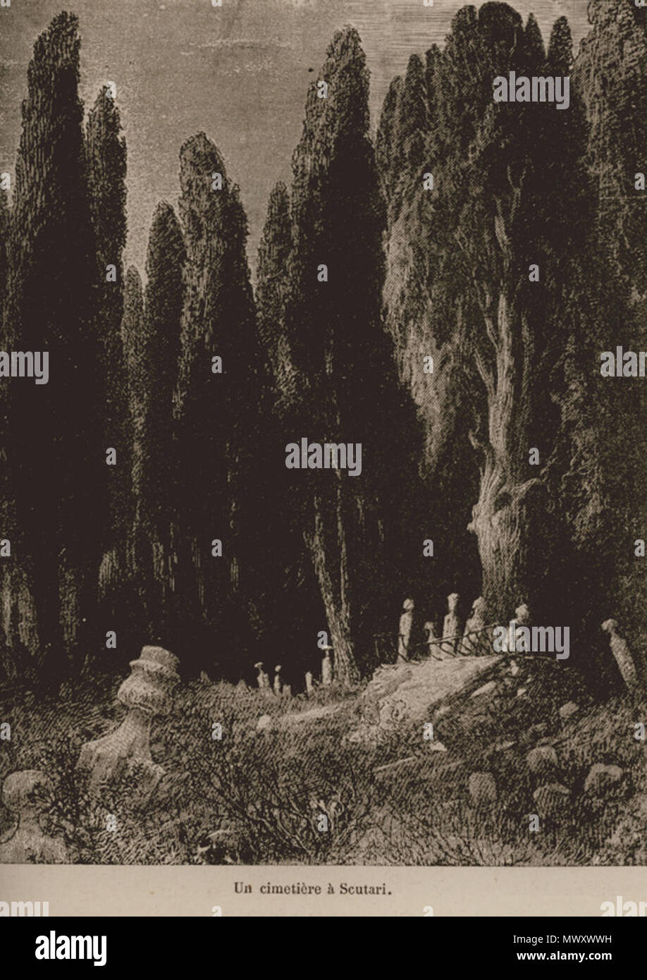 620 Un cimetière à Scutari - De Amicis Edmondo - 1883 Banque D'Images