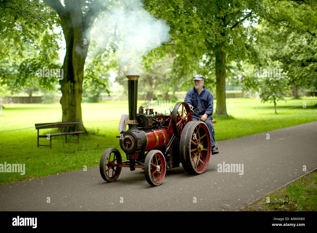 Un homme conduit sa machine à vapeur dans une voie à l'Himley Hall vintage fair à Dudley, West Midlands. Banque D'Images