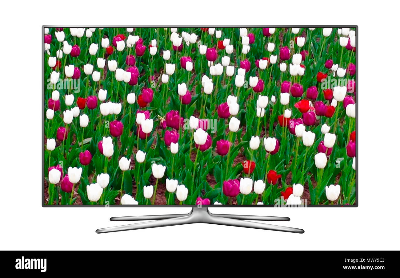 Smart tv isolé sur blanc avec fleurs de tulipe sur l'écran Banque D'Images