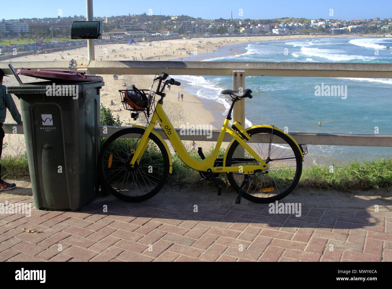 Ofo bike stationné à la plage de Bondi à Sydney en Australie. Covoiturage de vélos location parqués pour poubelle à Sydney. Rédaction d'illustration uniquement. Banque D'Images