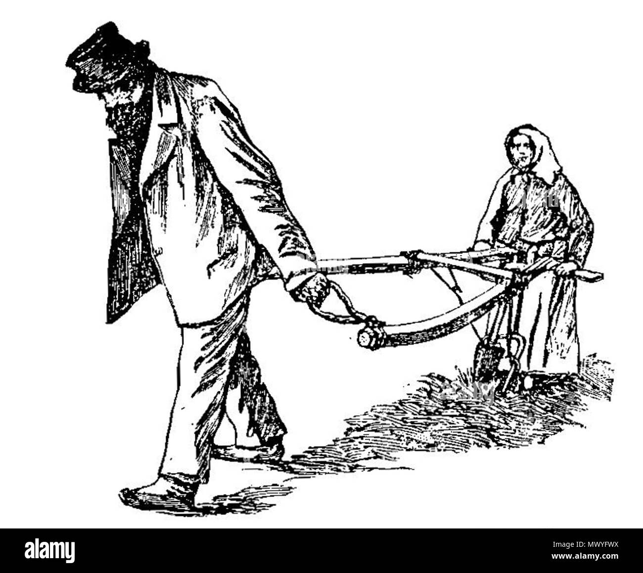 . Svenska : Handgaffelplog av en typ som homme påträffa sekelskiftet kunde kring commentaire 21/05 1900 je la Finlande. 1899. Handgaffelplog 266 inconnu Banque D'Images