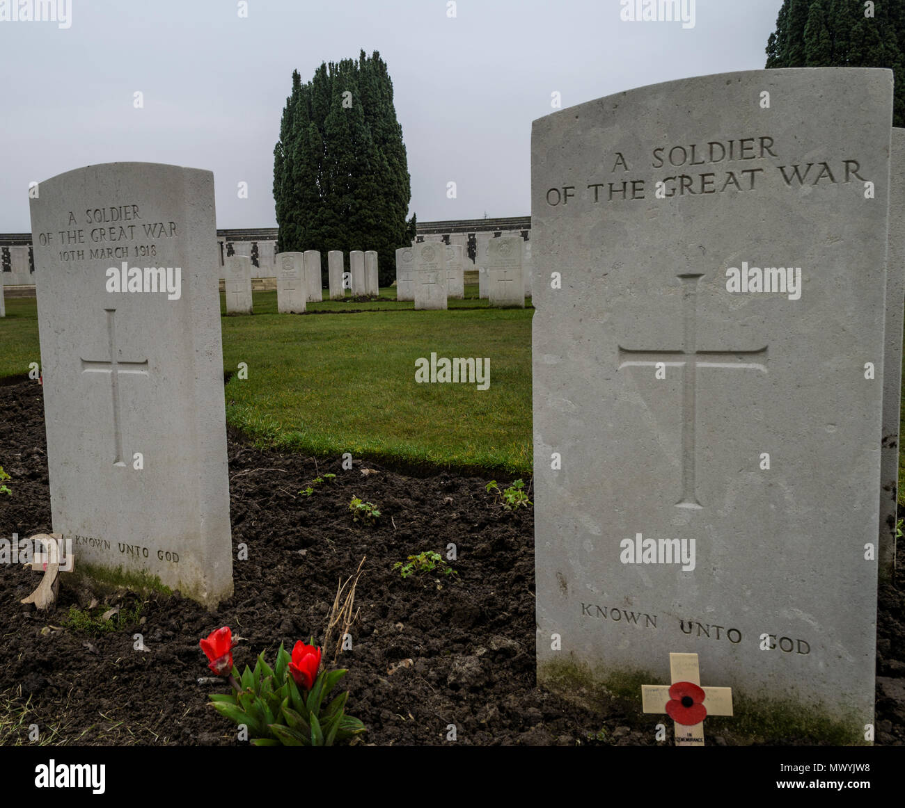 Pierres tombales d'un soldat de la grande guerre dans un cimetière en Flandre Banque D'Images