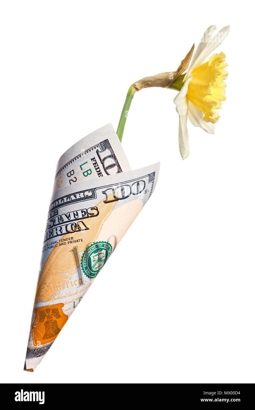 Sac de papier hors de cent dollars avec fleurs de narcisses unique isolé sur fond blanc Banque D'Images