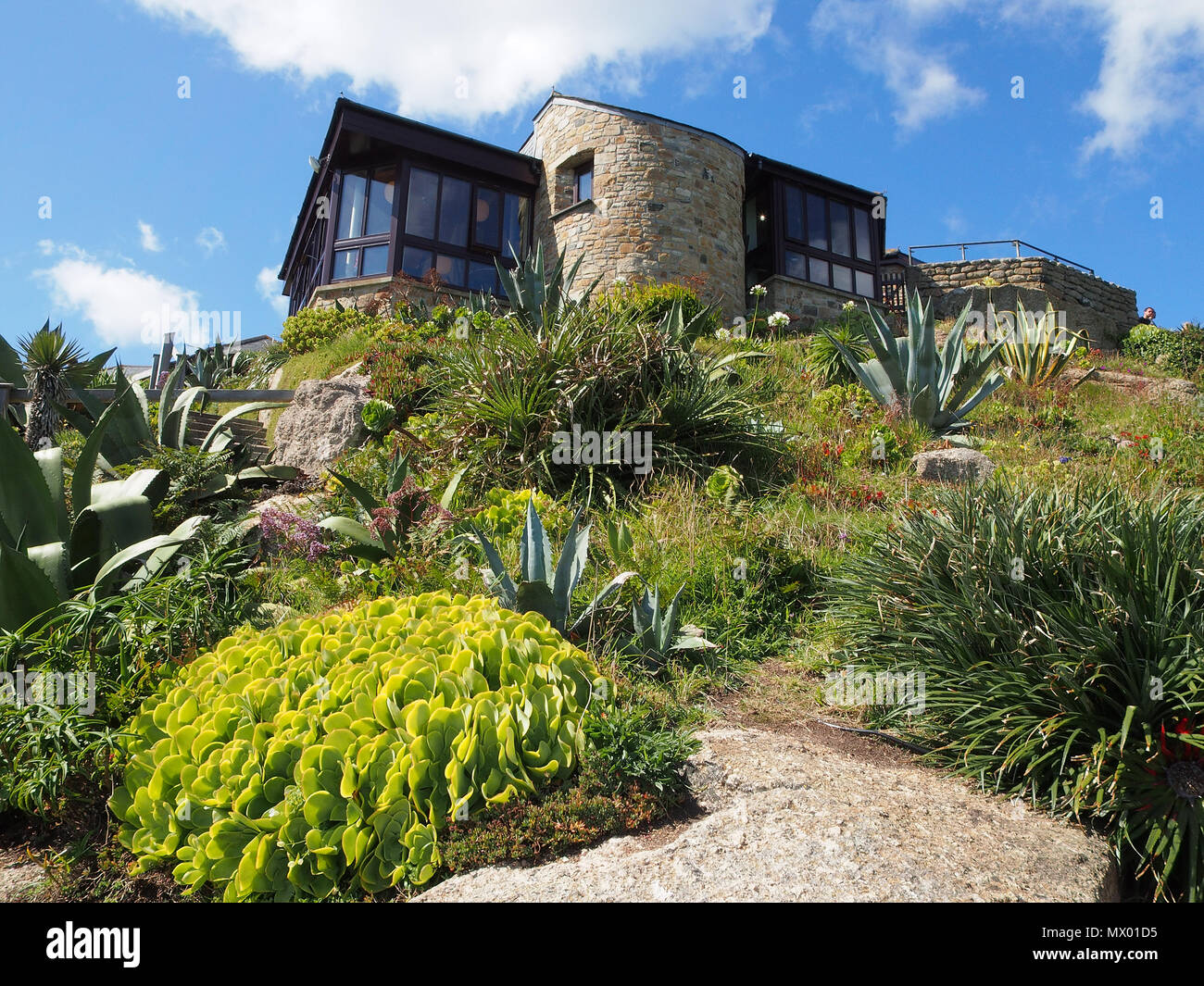 Café et boutique dans les jardins à l'air libre Théâtre Minack Theatre, Porthcurno à Cornwall, Angleterre, Royaume-Uni, montrant certaines des plantes grasses grandi là. Banque D'Images