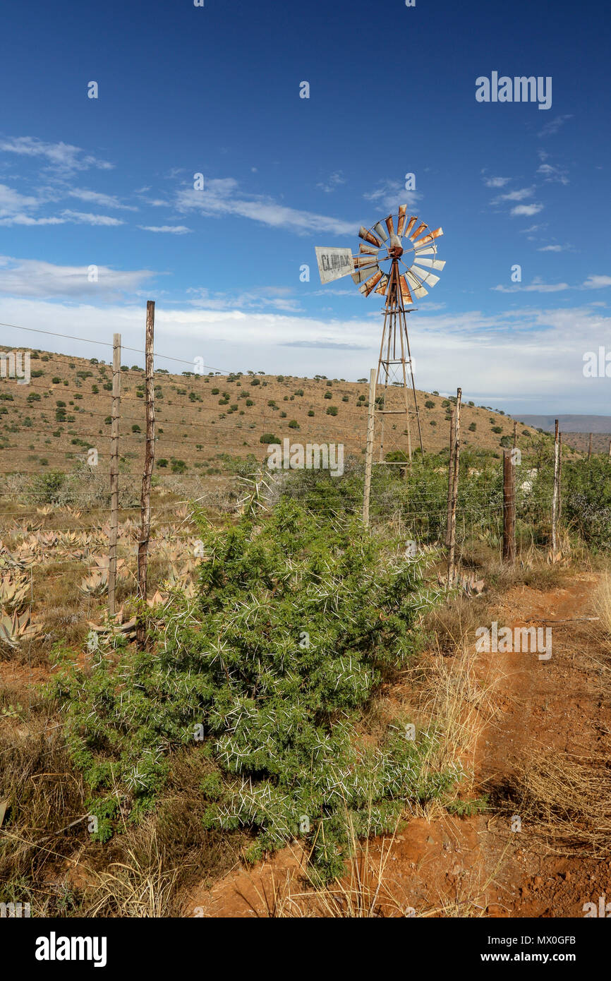 Pompe éolienne Multi pales avec fynbos et clôture dans le paysage à l'Addo Elephant National Park, Eastern Cape, Afrique du Sud Banque D'Images