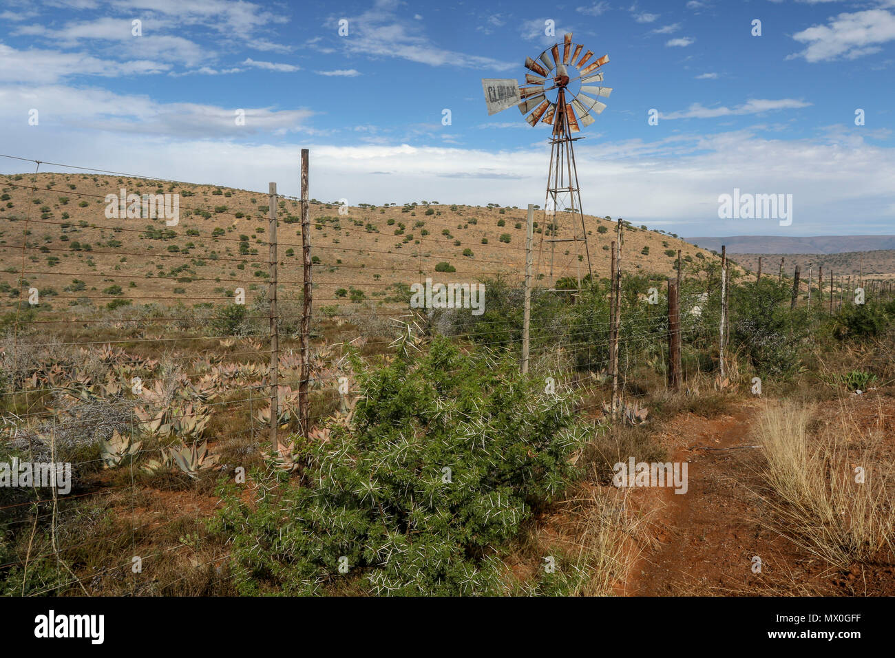 Pompe éolienne Multi pales avec fynbos et clôture dans le paysage à l'Addo Elephant National Park, Eastern Cape, Afrique du Sud Banque D'Images