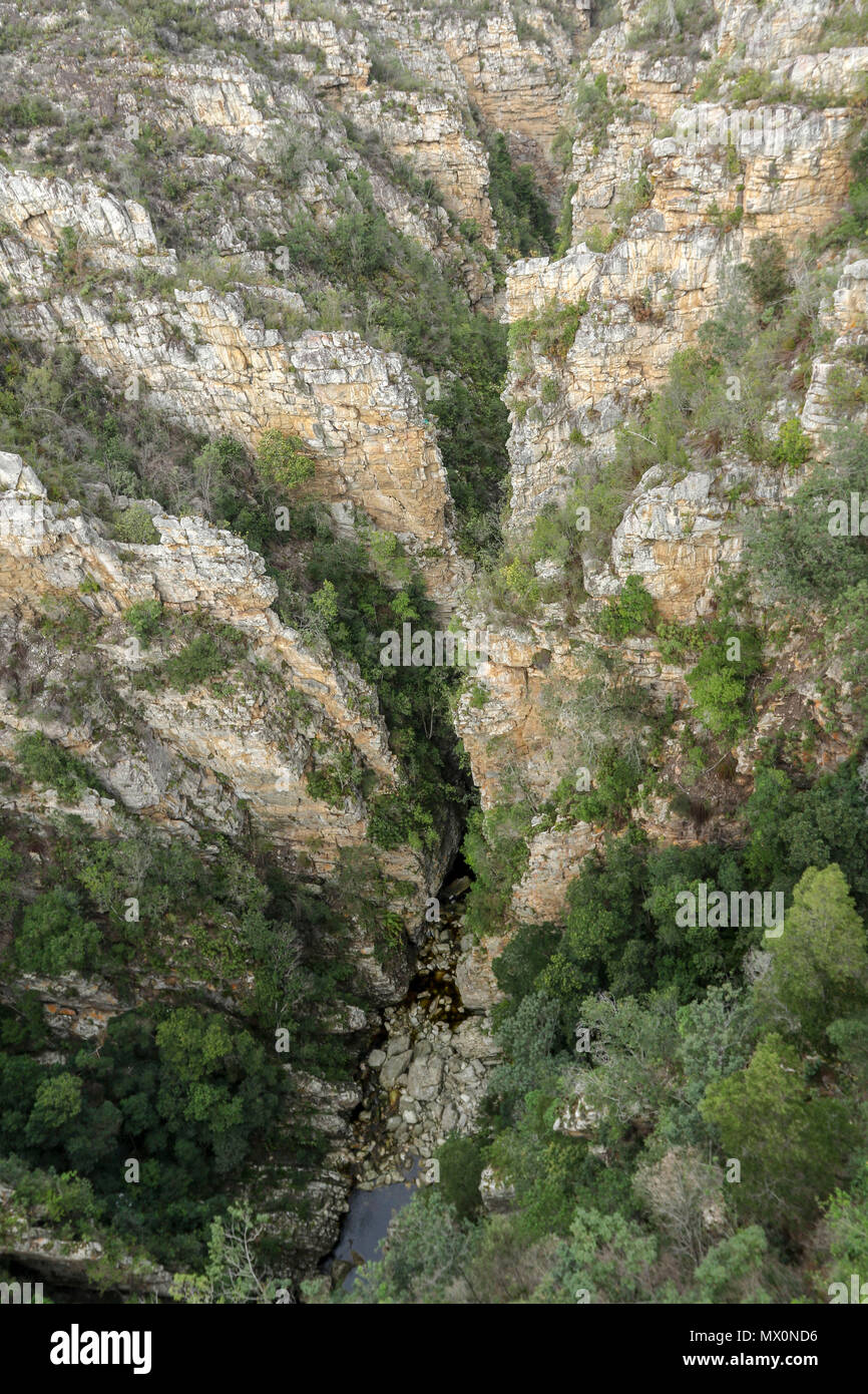 La végétation riveraine le long d'un tronçon de l'eau faible les tempêtes river, le parc national de Tsitsikamma, garden route, South Africa Banque D'Images