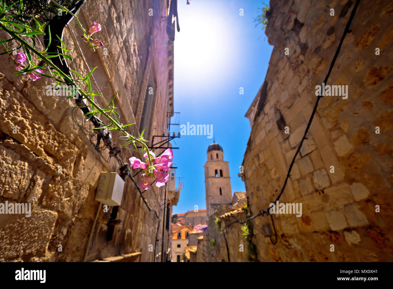 Fleur En pierre sur la rue étroite Dubrovnik Dalmatie, région de la Croatie Banque D'Images