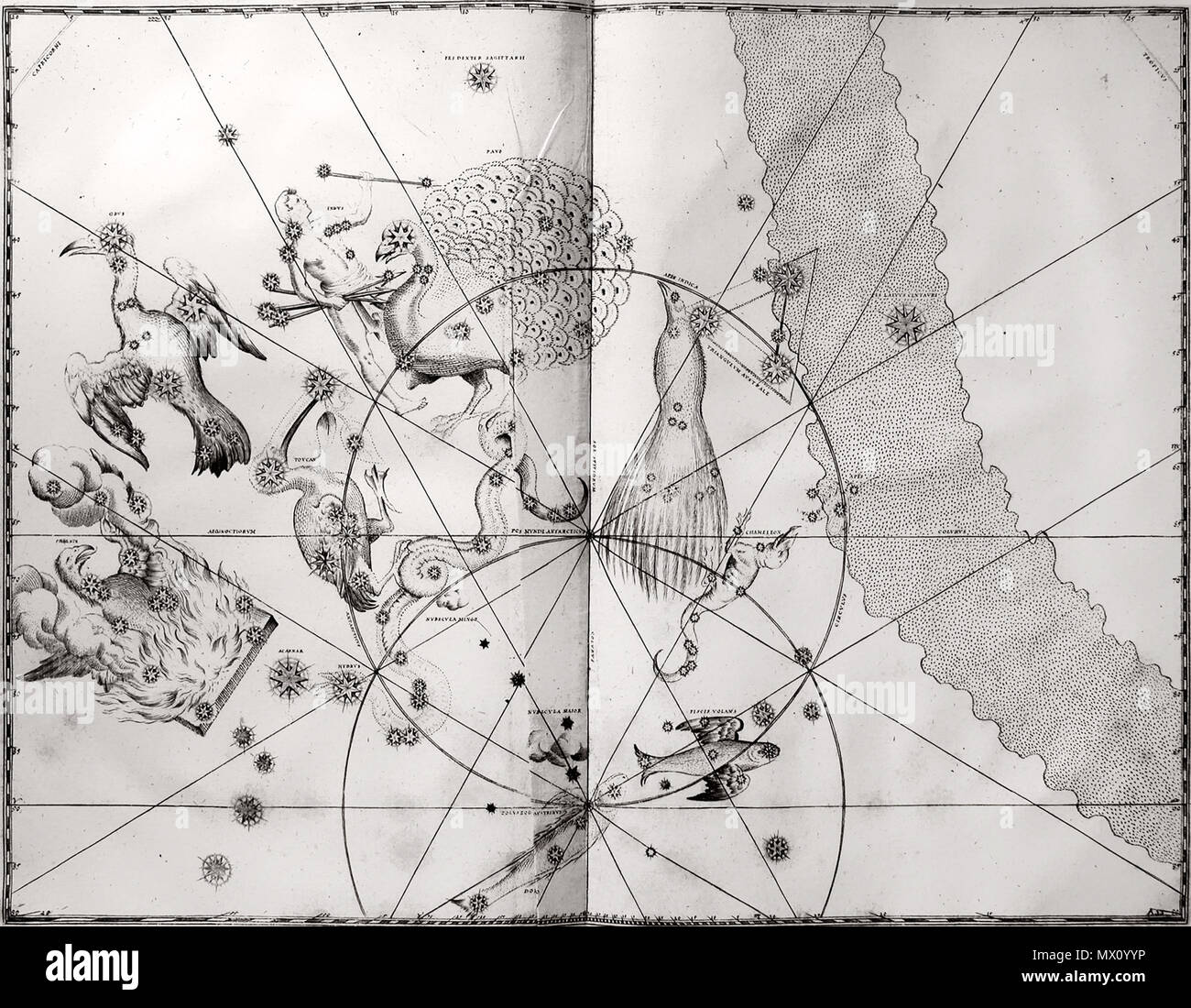 77 Bayer-1661-Uranometria-Leaf 49-Constellations Du Sud Banque D'Images