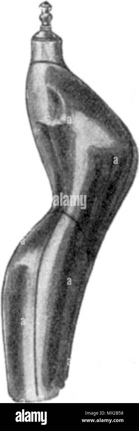 82EnglischeBustre starkenSchweifungen mit 19 Banque D'Images