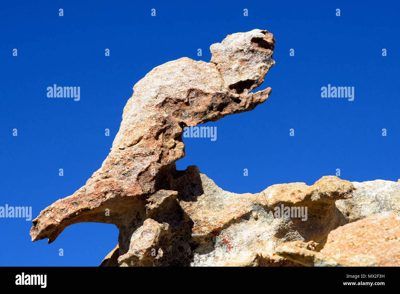 Rock formation intéressante dans le Cederberg, Afrique du Sud Banque D'Images