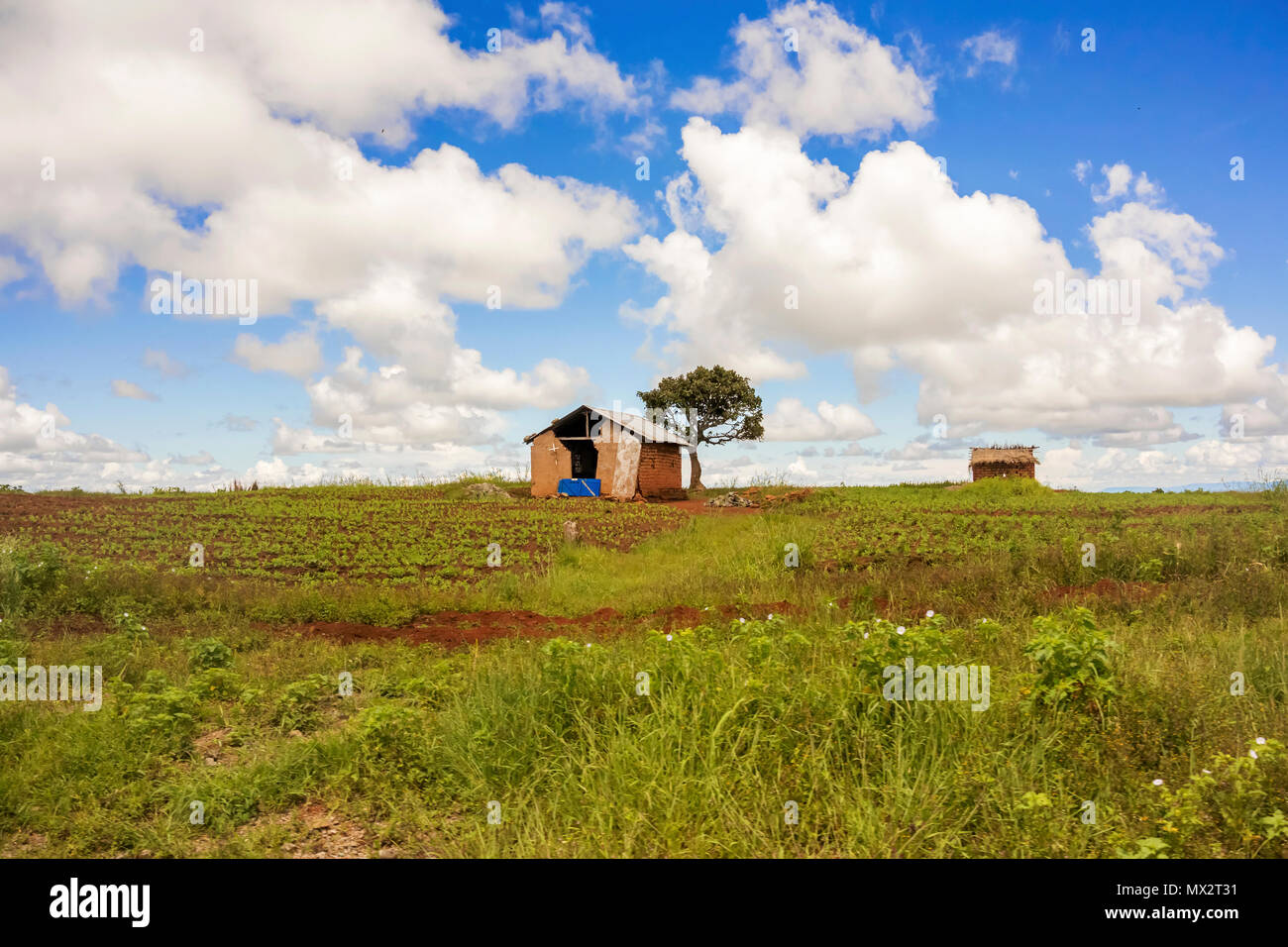 Paysage rural pittoresque en Tanzanie à partir de la route de Mbeya en Tanzanie. L'église sur la terre agricole Banque D'Images