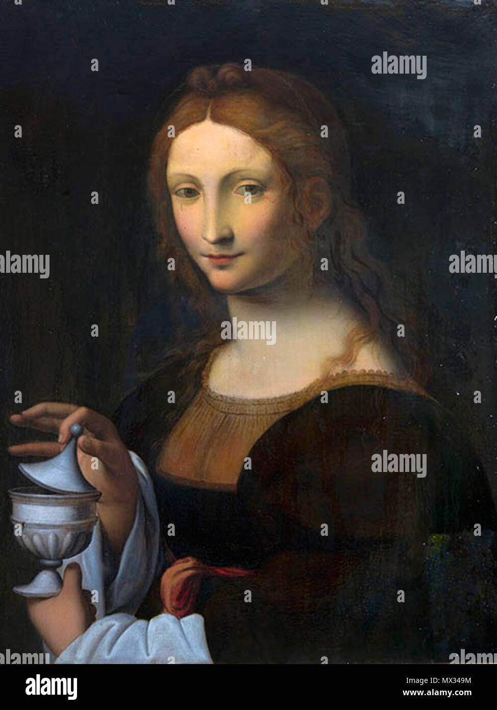 Leonardo da Vinci Portrait de Mère №1 Magdalena 367 Leonardo da Vinci Portrait de Mère №1 Magdalena Banque D'Images