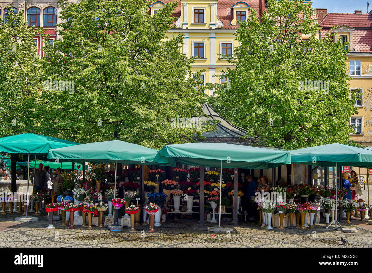 Wroclaw Plac Solny Square Banque D'Images