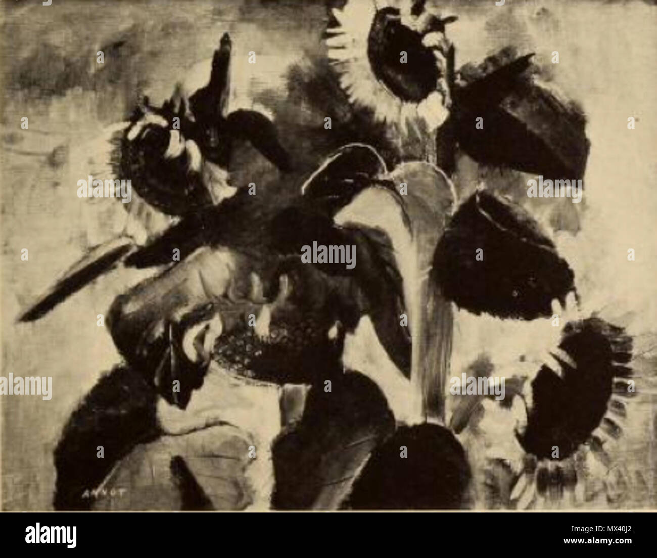 . Anglais : photographie en noir et blanc d'une peinture de couleur, 'Sunflowers" 1929, par Annot (Décembre 27, 1894 - Octobre 20, 1981), . 1929. L'artiste est d'Annot (Décembre 27, 1894 - Octobre 20, 1981), 48 Annot Tournesols 1929 artistes européens dans l'enseignement en Amérique du Nord. 1941 Banque D'Images