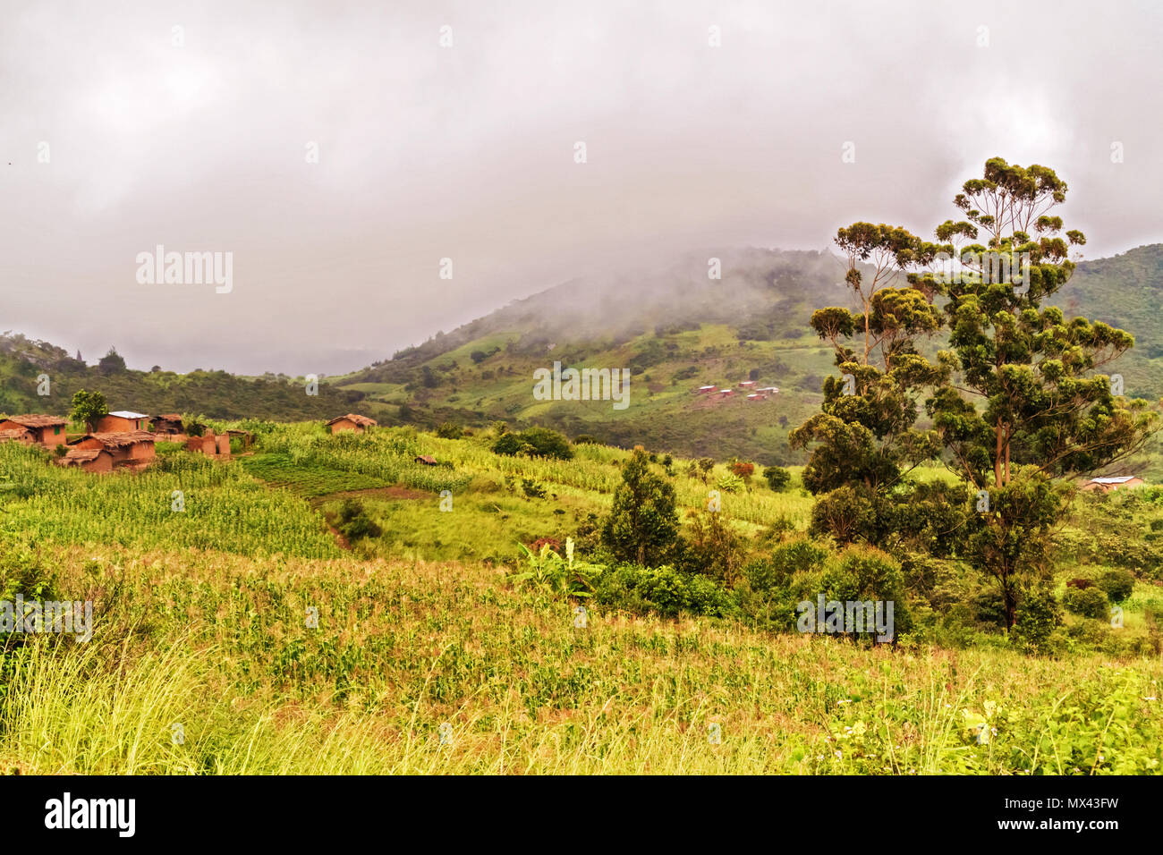 Paysage rural pittoresque de la route près de Lilongwe au Malawi Banque D'Images