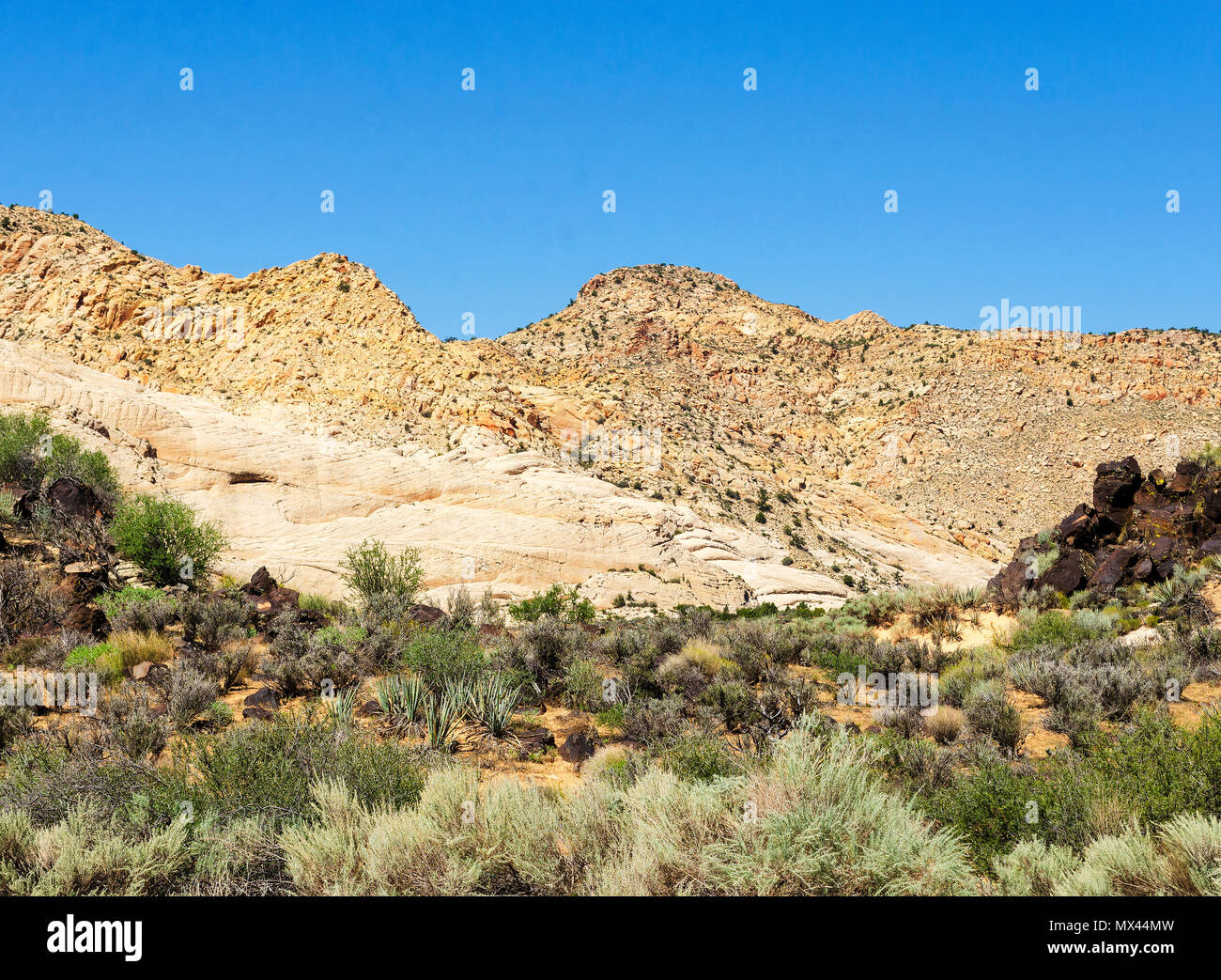 White Rock montagnes couvertes de falaises abruptes sous ciel bleu. Banque D'Images