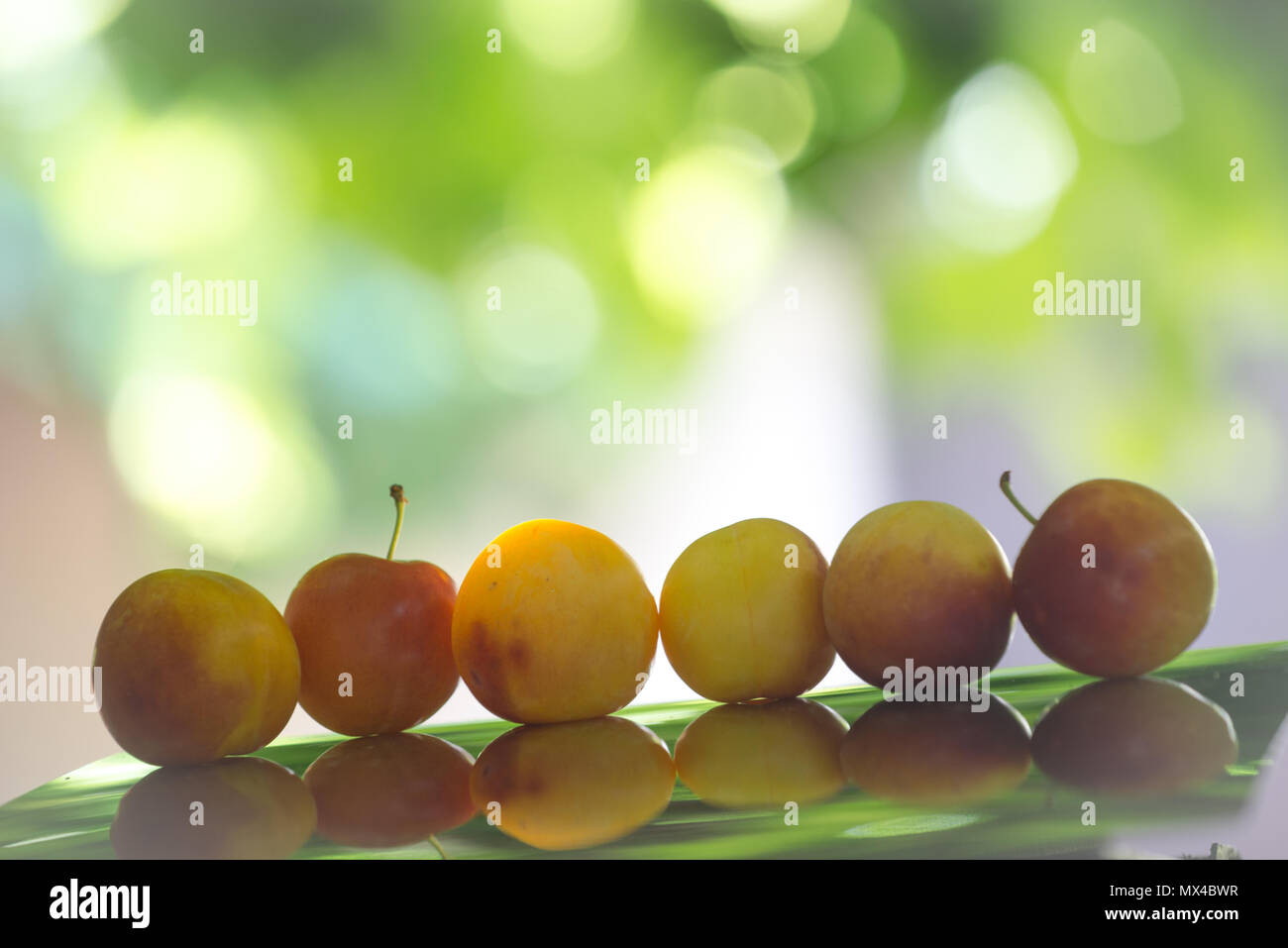 Prunes, cerises ou prunes rondes (appelé alycha) Banque D'Images