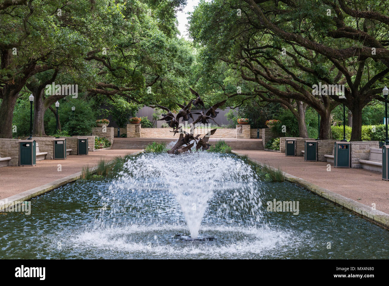 Fontaine d'eau et piscine à la Zoo de Houston. Houston, Texas, USA. Banque D'Images