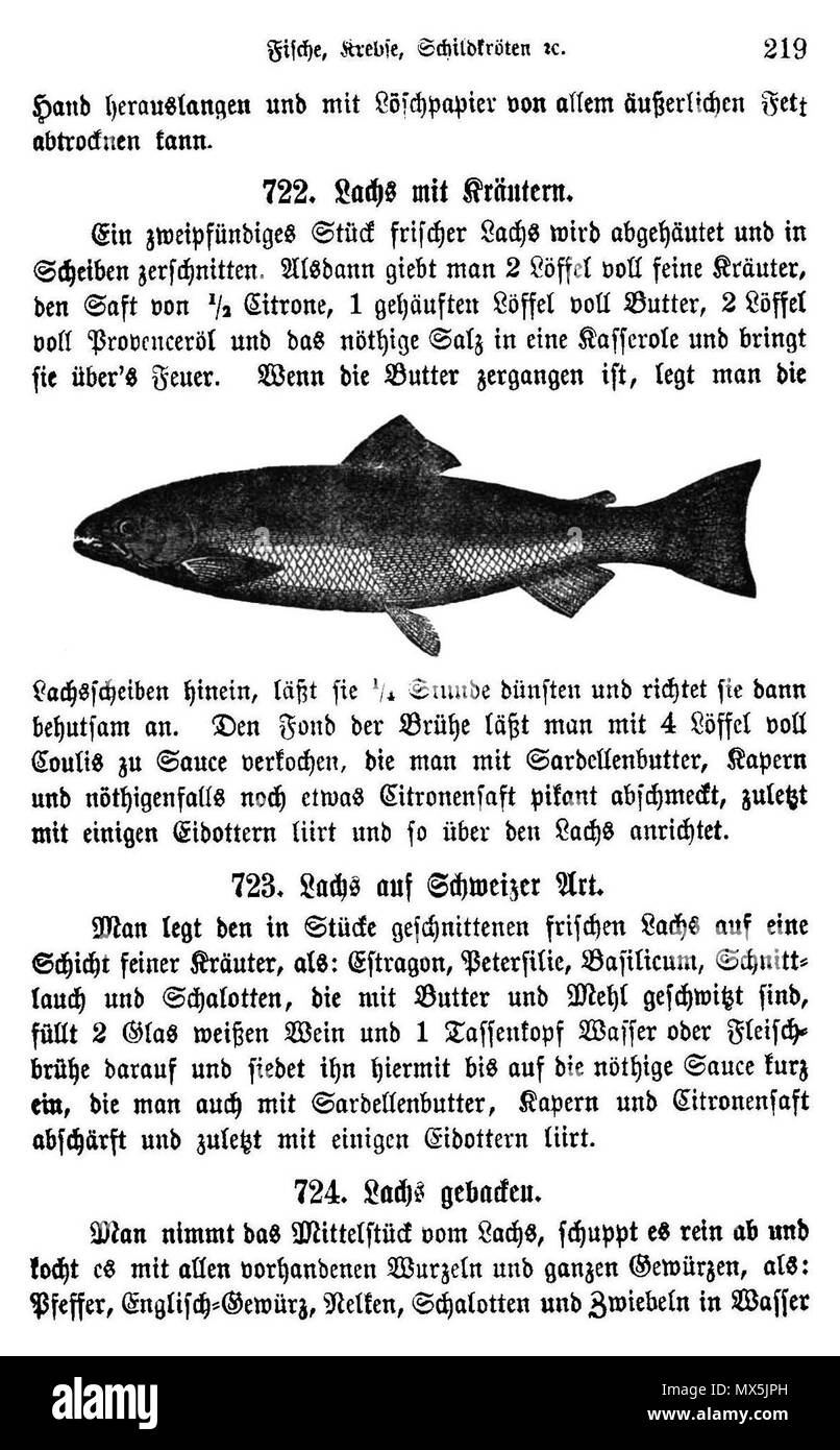 65 Auszug Ritter Kochbuch Banque D'Images