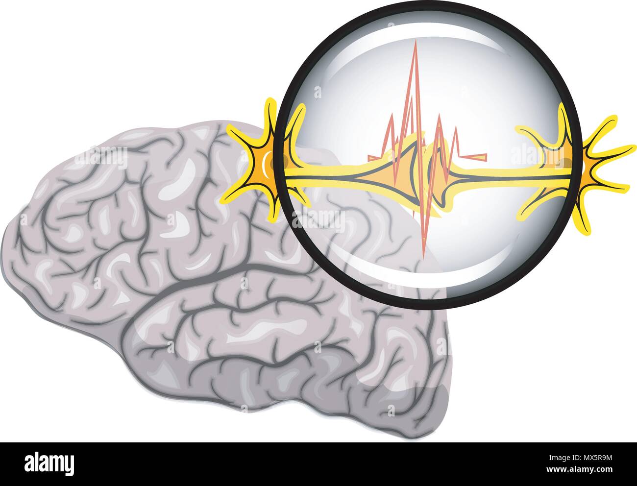 Illustration du cerveau et les neurones, l'augmentation dans le cadre d'un microscope Illustration de Vecteur