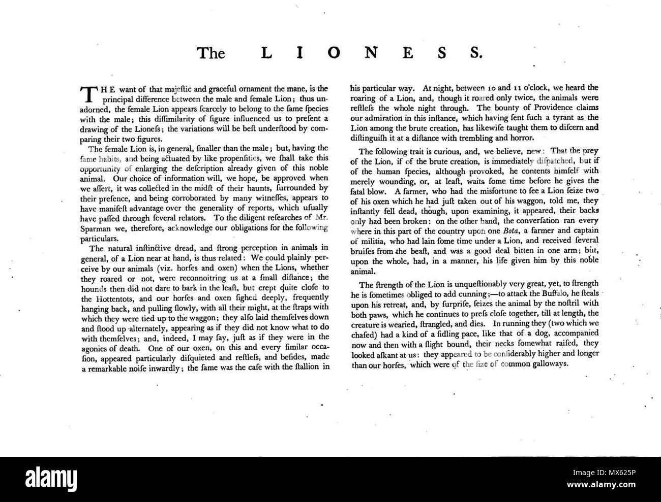 . Anglais : Illustration de Charles Catton les jeunes animaux issus de la nature et gravé dans l'aqua-tinta . 1788. En:Charles Catton le jeune Charles Catton, 123 animaux (1788) Page7 Image1 Banque D'Images